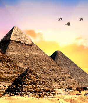 安寿(あんじゅ)先生